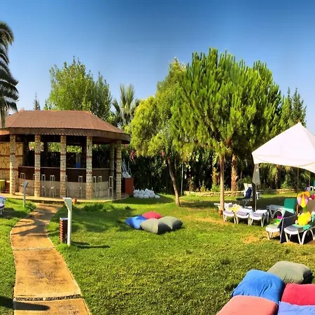 إفيسيا - شامل كليًا