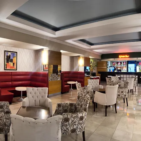 إفيسيا - شامل كليًا